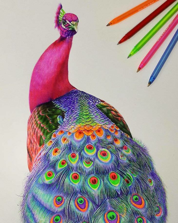 Hyperrealistic ballpoint pen drawings by Mostafa Khodeir peacock