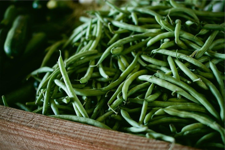 Fastest Growing Vegetables green beans