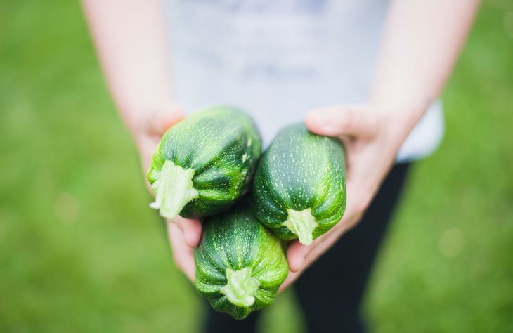 Fastest Growing Vegetables Zucchini