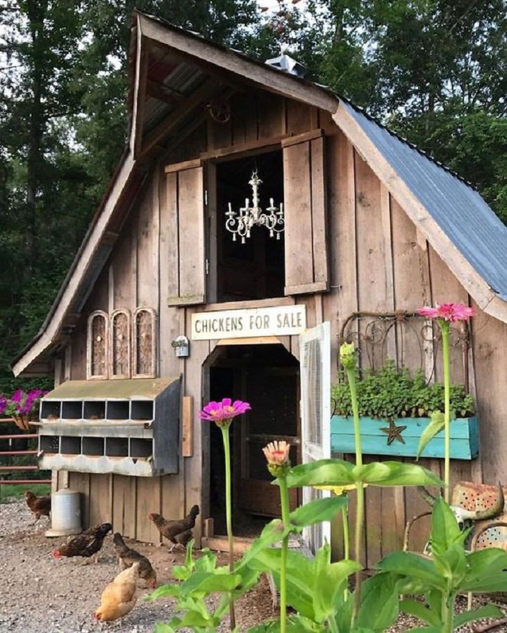 Chicken Coops, rustic 