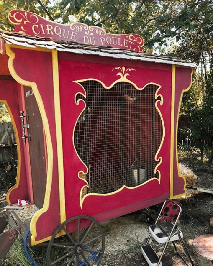 Chicken Coops, Chicken Circus