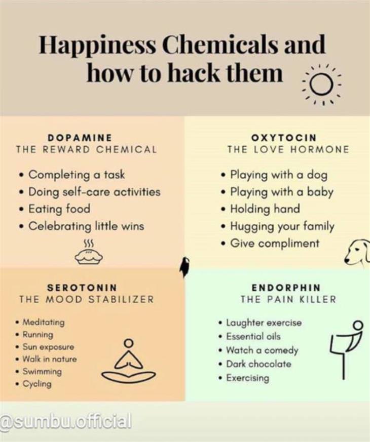 charts happiness chemicals