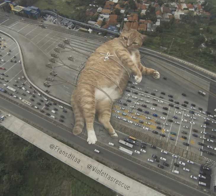 Artist Inserts Giant Cats in Images traffic jam