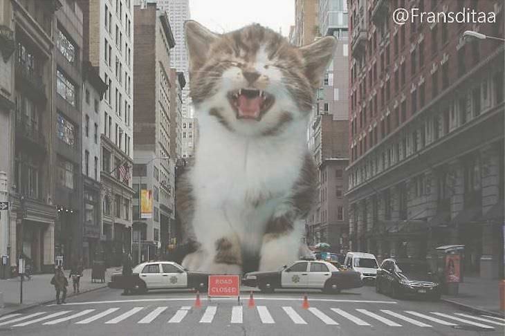 Artist Inserts Giant Cats in Images city street