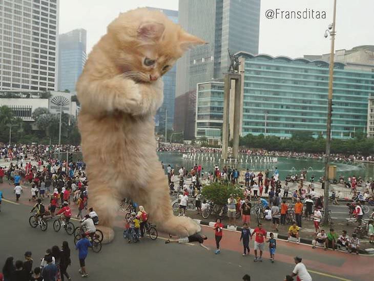 Artist Inserts Giant Cats in Images giant kitty