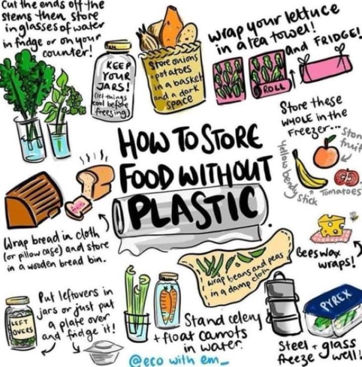 charts how to store food without plastic