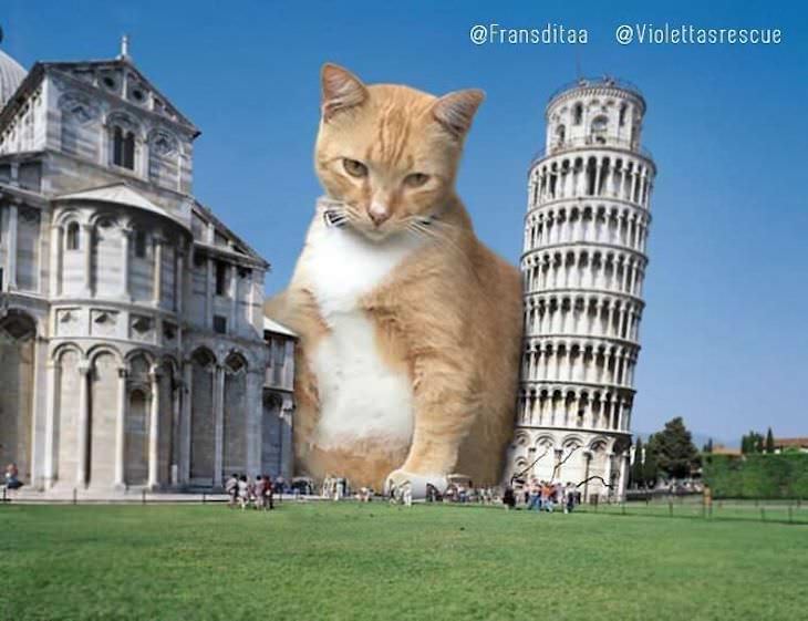 Artist Inserts Giant Cats in Images leaning tower of pizza