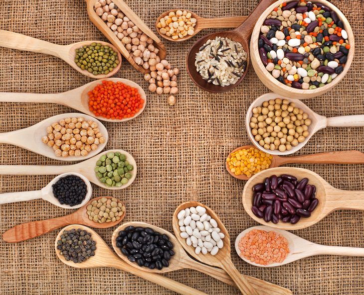 Antinutrients, Lectins, legumes