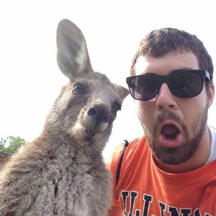 Funny Animals Pics,Selfie buddies! 