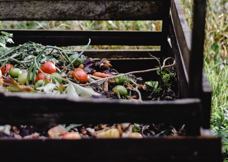 Black Fungus Covid-19  compost pile