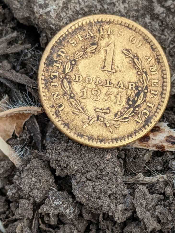 Incredible Items Unearthed by Metal Detectors dollar coin