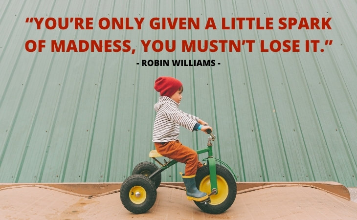 Short Quotes Robin Williams