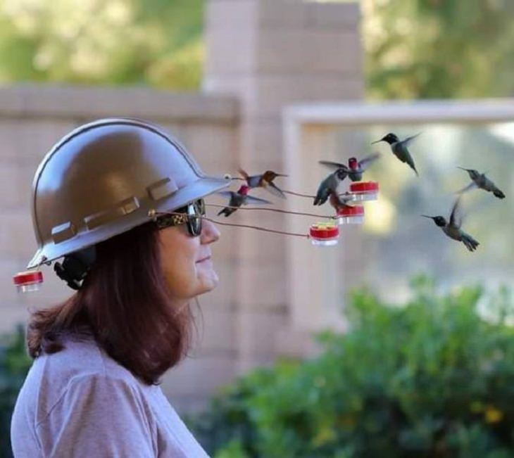 Animals and Humans, hummingbird helmet