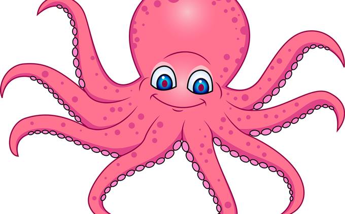 Quiz: What Do You Know About the Octopus? | Animal Trivia Quizzes