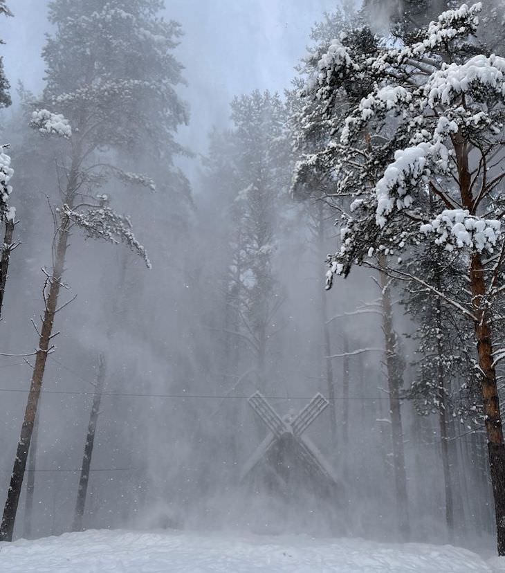 16 Photos Celebrating the Immense Power of Nature snow covered pines