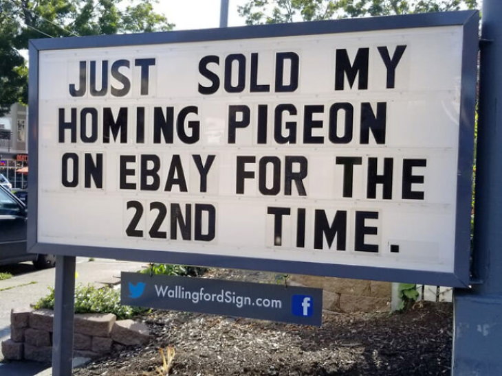 Wallingford Signs homing pigeon