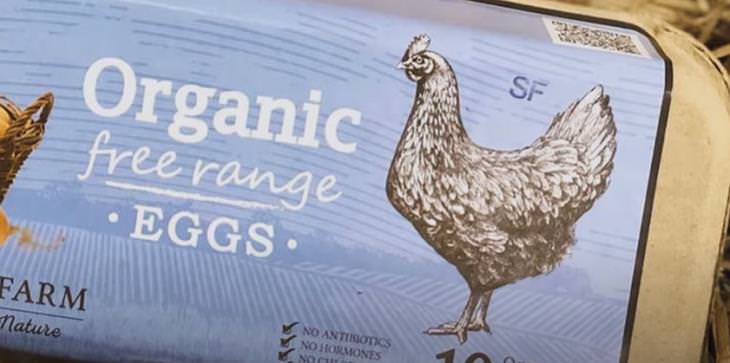 Egg Carton Labels, Free-Range