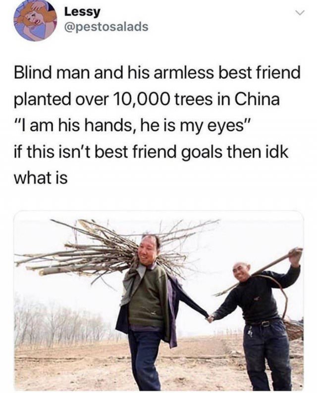 Wholesome Stories Chinese men plant 10,000 trees