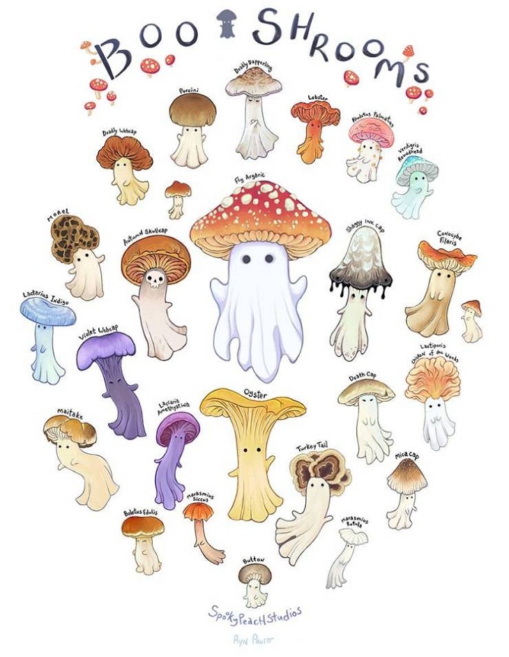 Charts and Guides, mushrooms