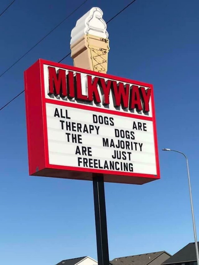 Funny Signs from  Ice Cream Shop Dogs