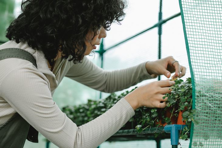 Container Gardening Tips woman touching plant