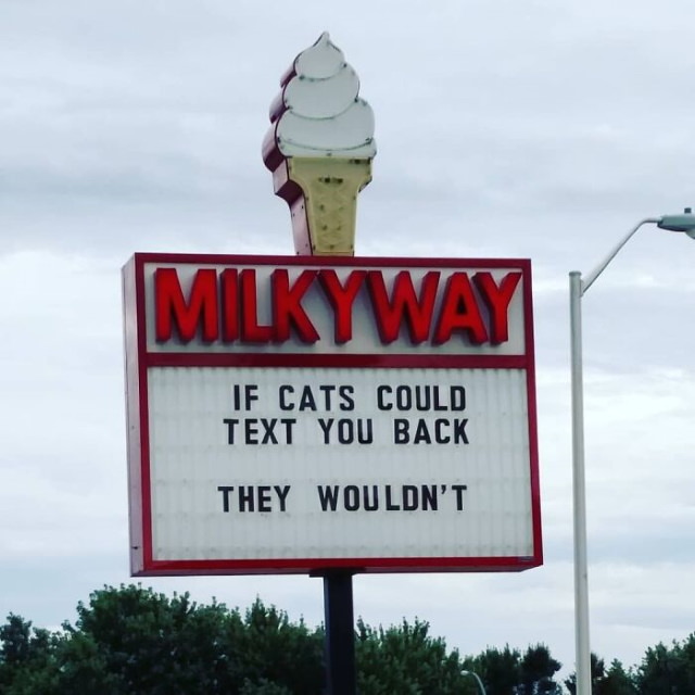 Funny Signs from  Ice Cream Shop cats