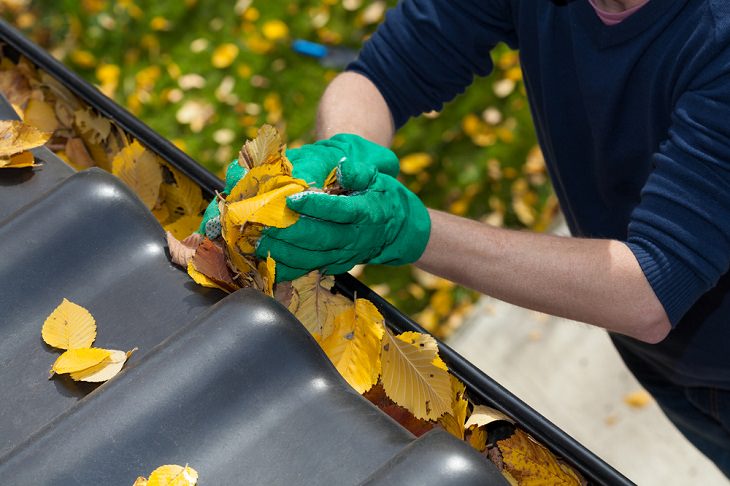 Once-a-Year Cleaning Tasks, House Gutters