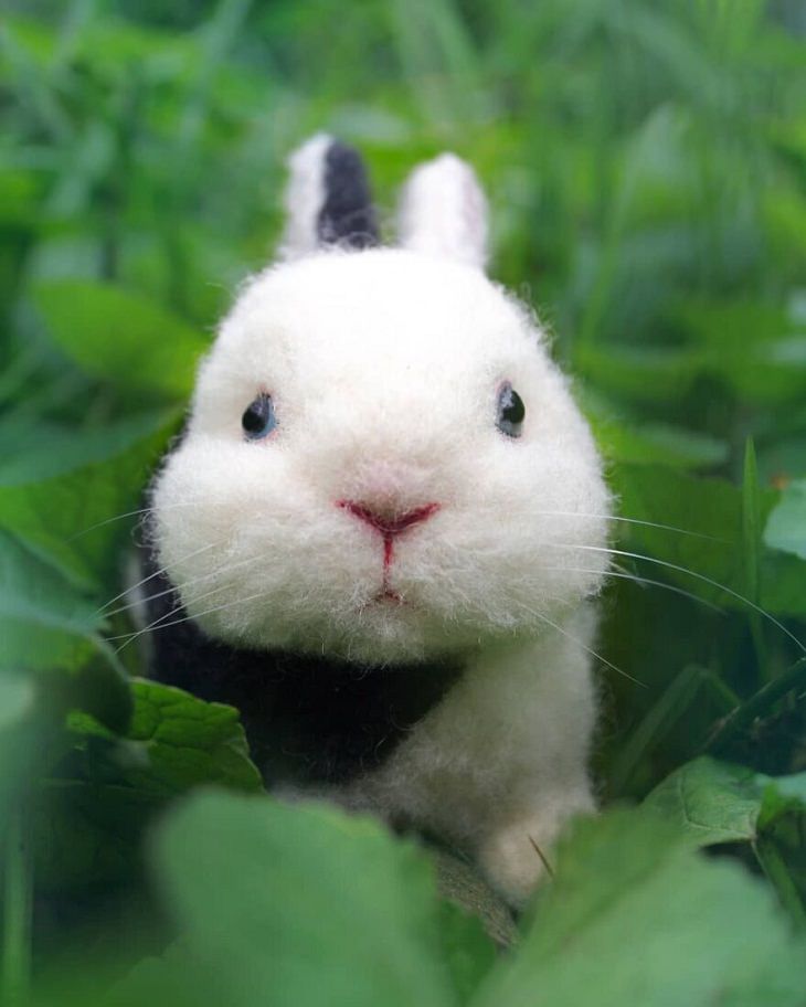 Hyper-Realistic Animal Portraits, bunny