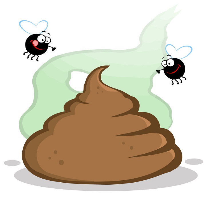 Poop Health, smelly