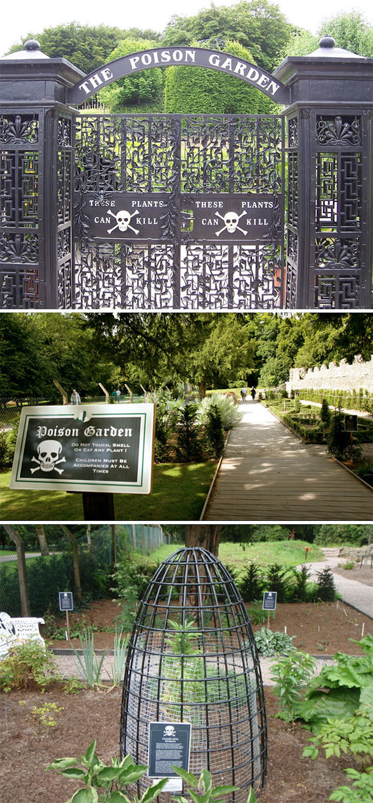 Creative Gardening Ideas and Tricks The Poison Garden