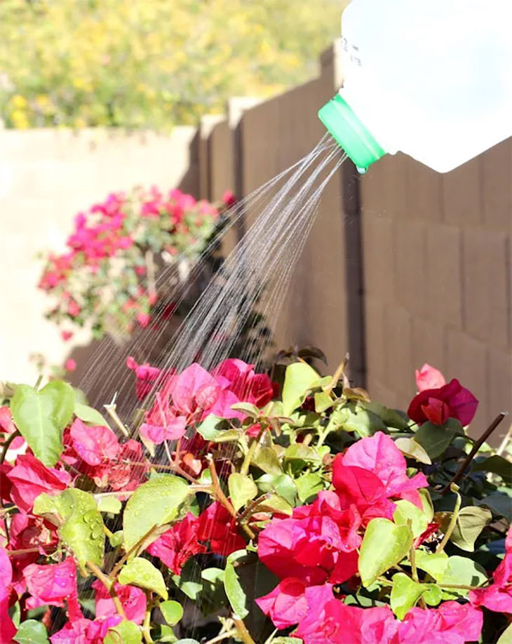 Creative Gardening Ideas and Tricks milk jug watering can