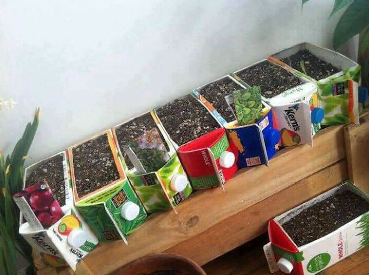 Creative Gardening Ideas and Tricks  Recycled items to use as seed starters