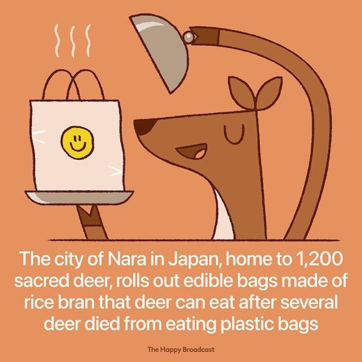 Happy and Positive News Stories From 2021 edible bags