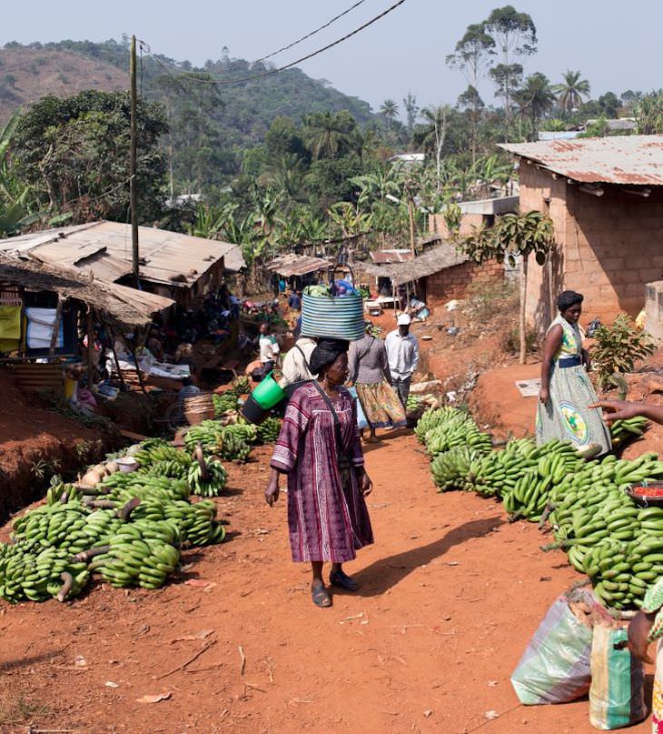 Captivating Shots of Cameroon by Ziya Atkurer