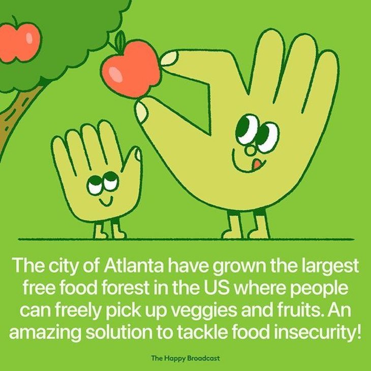 Happy and Positive News Stories From 2021 free food forest