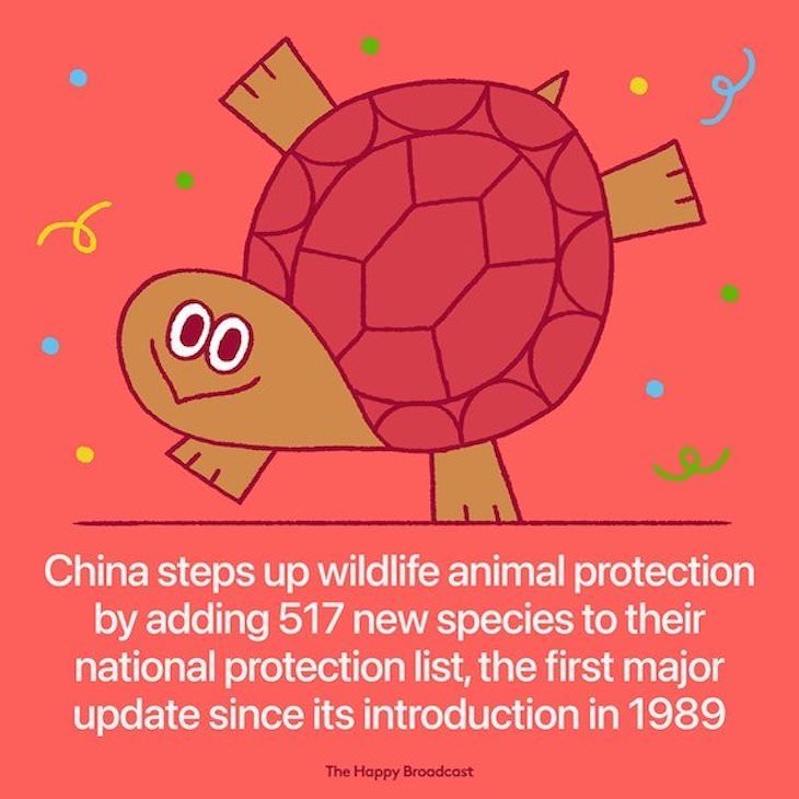 Happy and Positive News Stories From 2021 wildlife protection china