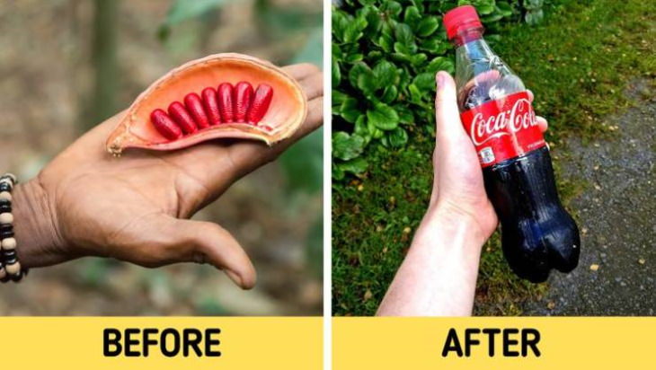 before and after manufacturing Coca-Cola