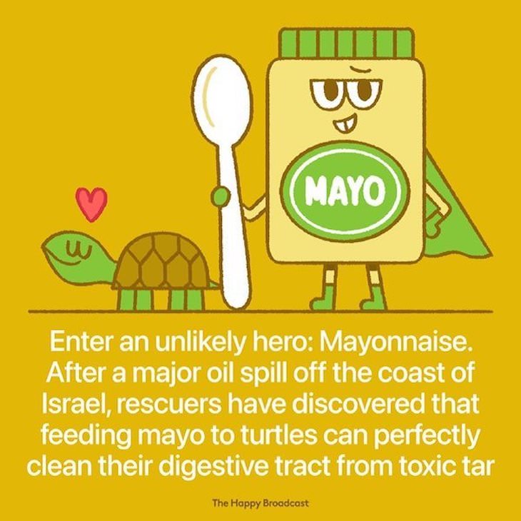 Happy and Positive News Stories From 2021 mayonnaise 