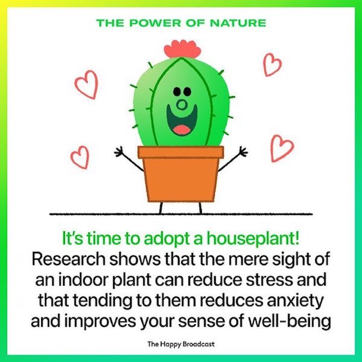 Happy and Positive News Stories From 2021 houseplants