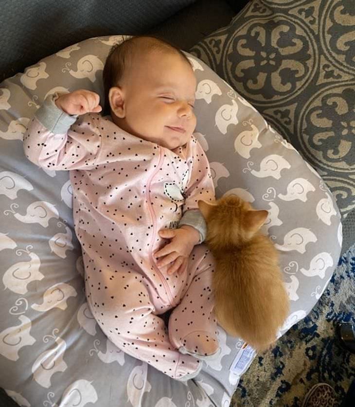 Heartwarming and Happy Moments baby and kitty