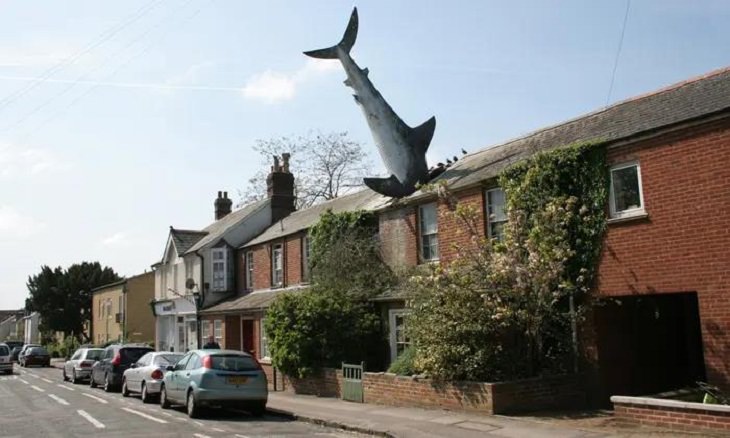 Weird Architecture, shark