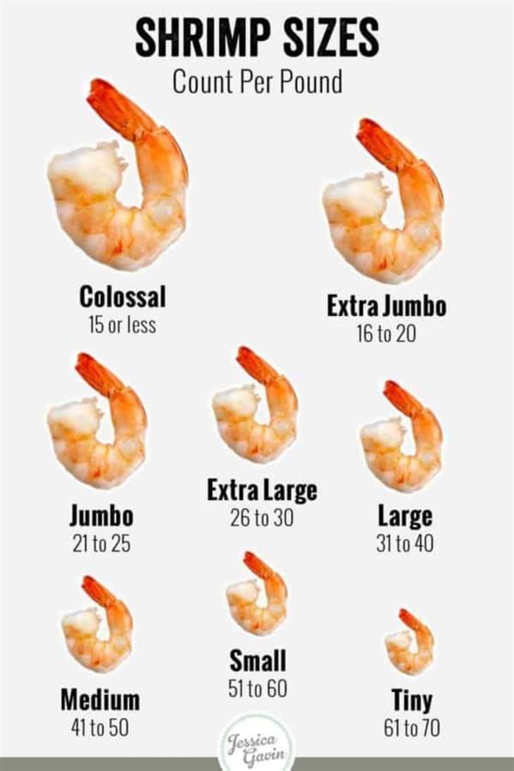 charts shrimp sizes