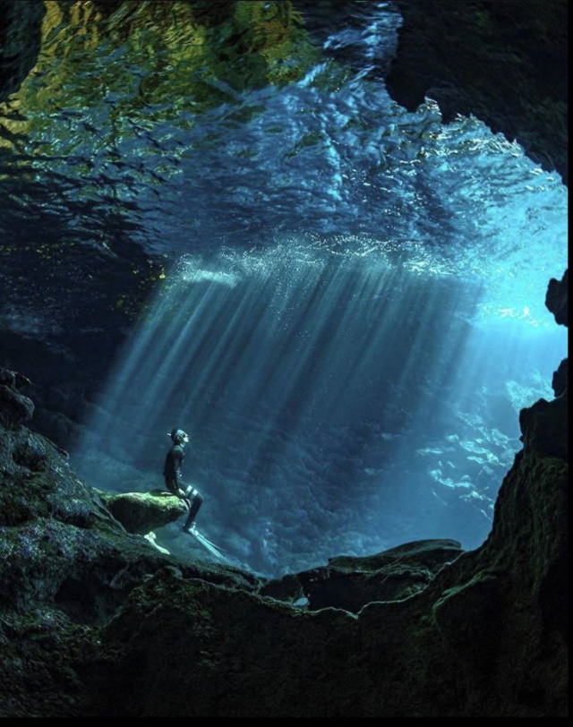 Poignant Photos diver sitting on a bench in an underwater park