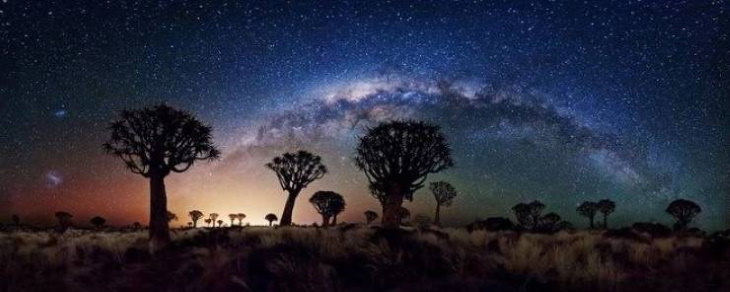 Poignant Photos South African nature at night