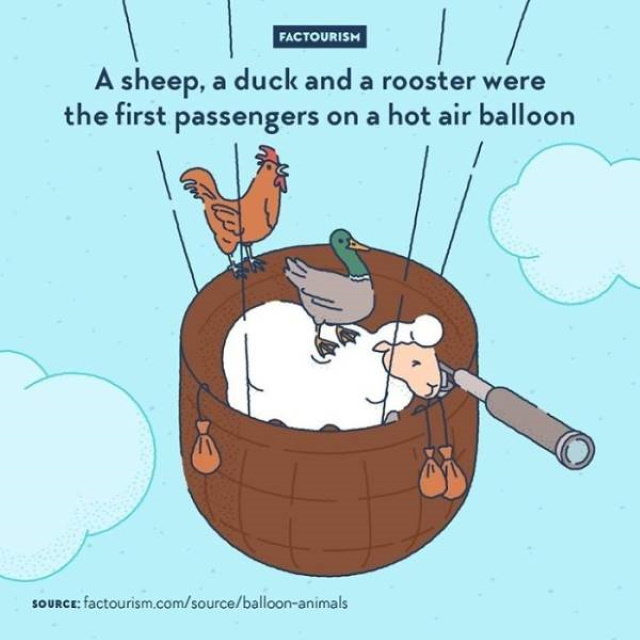 Factourism hot air balloon