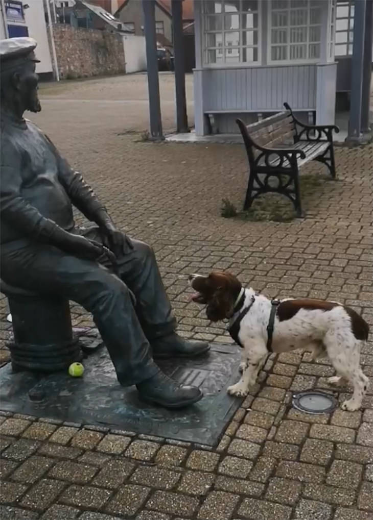 Hilarious Dog Photos That Will Have You in Splits statue