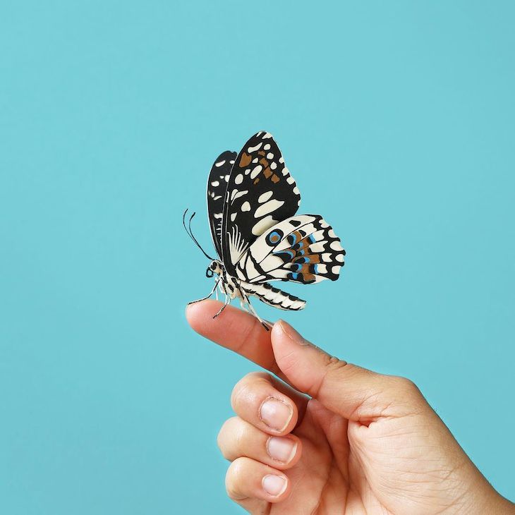 Brilliant Paper Sculptures of Birds & Butterflies by Diana Beltran Herrera Milkweed Butterfly