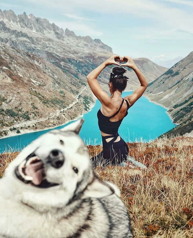 Hilarious Dog Photos That Will Have You in Splits photobomb