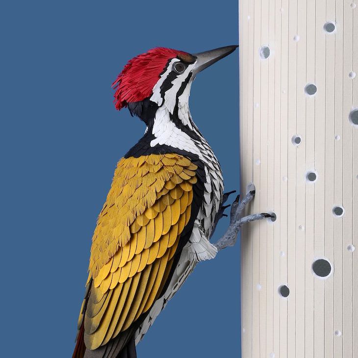 Brilliant Paper Sculptures of Birds & Butterflies by Diana Beltran Herrera  Goldenback woodpecker