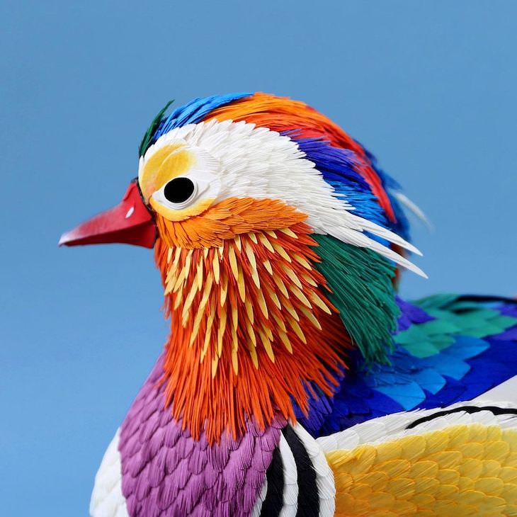Brilliant Paper Sculptures of Birds & Butterflies by Diana Beltran Herrera Mandarin duck